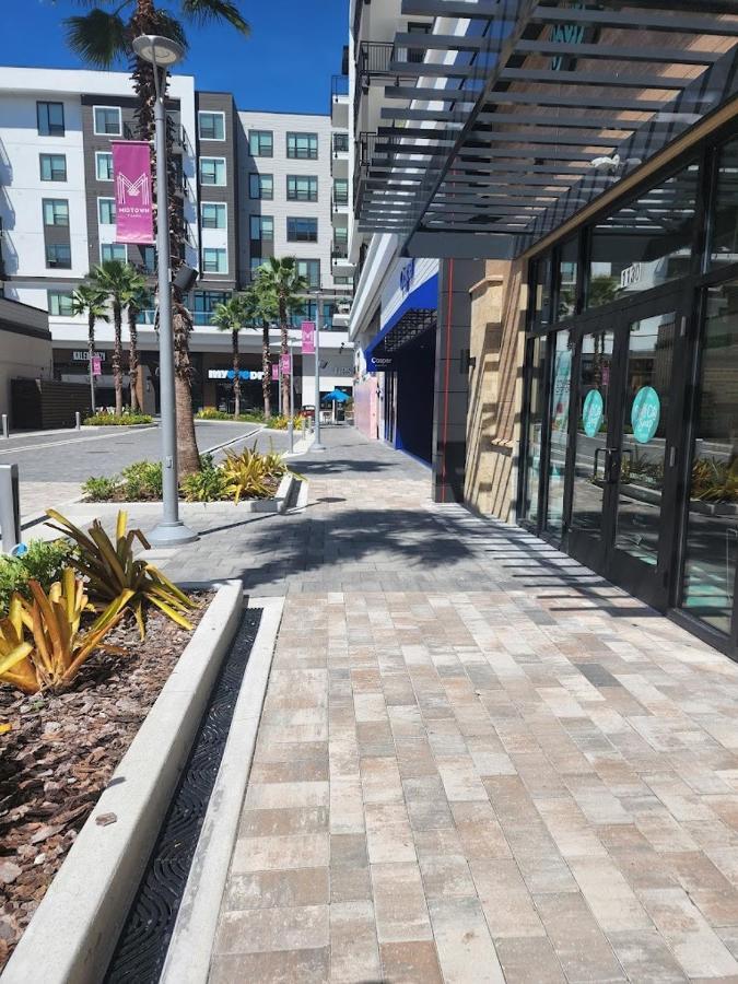Entire Modern Luxury 1-1 Near Airport-downtown Tampa