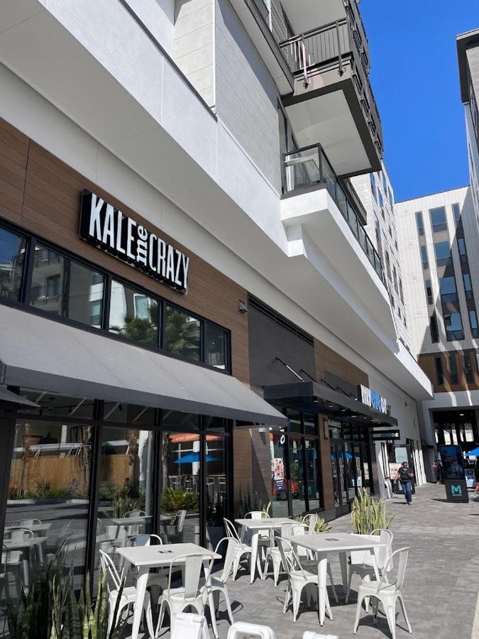 Entire Modern Luxury 1-1 Near Airport-downtown * Tampa