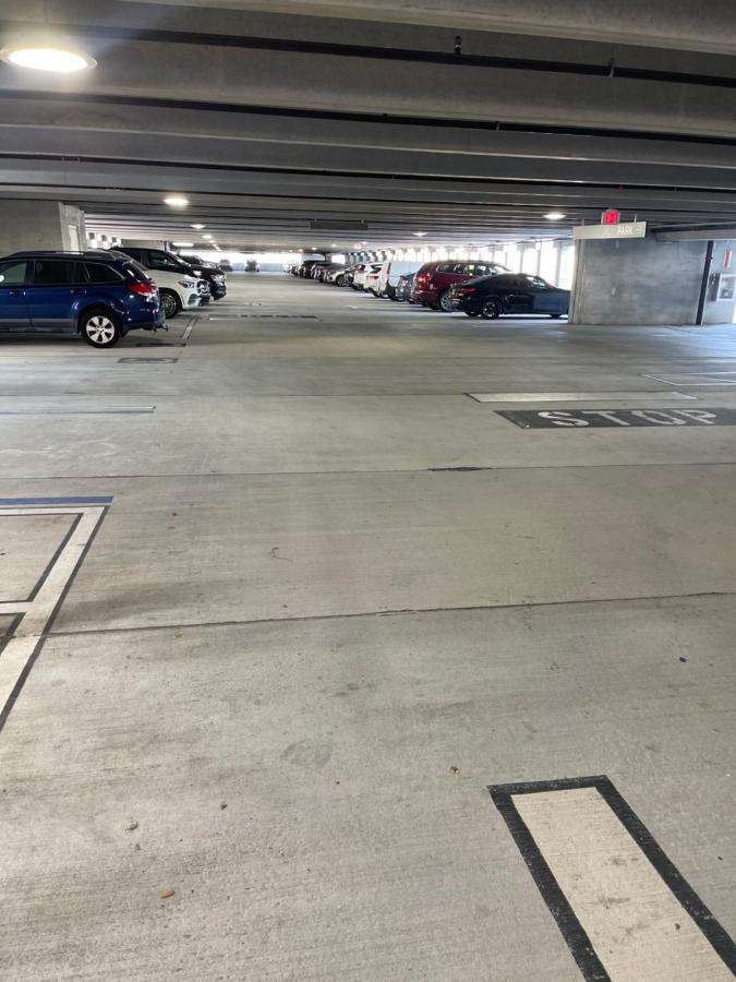 Entire Modern Luxury 1-1 Near Airport-downtown Guest house Tampa